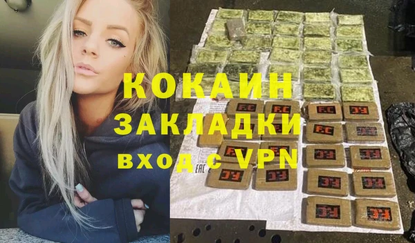 стаф Аркадак
