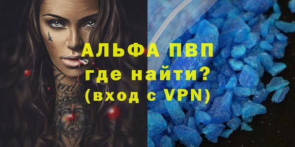 стаф Аркадак