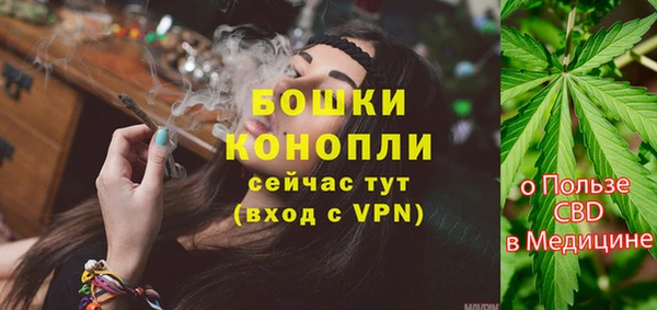 стаф Аркадак