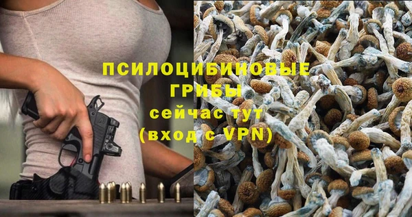 стаф Аркадак