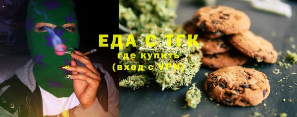 стаф Аркадак
