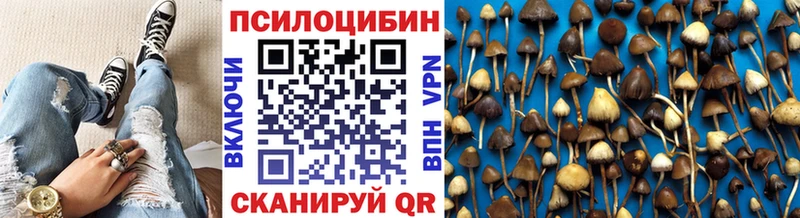 где найти наркотики  Новодвинск  Галлюциногенные грибы Cubensis 